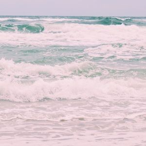 Meet your Posher, Evie